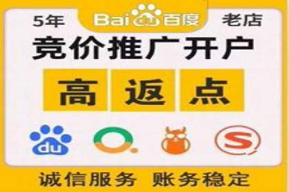 优化搜索流量：SEO技巧的多个成功案例